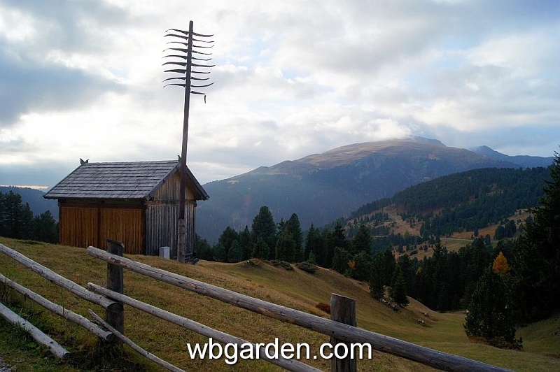 wbgarden alps 53.JPG